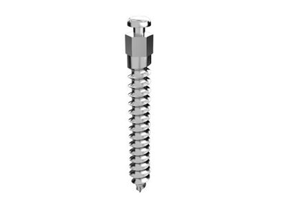 Picture of Templant Implant L 13 mm - Piece