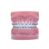 Picture of Razor Typodont - Piece