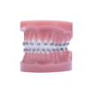 Picture of Razor Typodont - Piece
