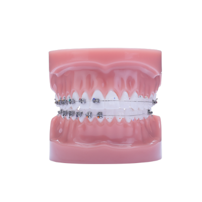 Picture of Razor & Phantom Typodont - Piece